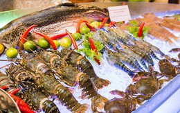 Hộ kinh doanh bán thủy sản đạt doanh thu 560 tỷ đồng/năm, cao hơn nhiều doanh nghiệp niêm yết