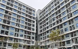 Doanh nghiệp Nhà nước nên hướng vào làm nhà ở giá rẻ