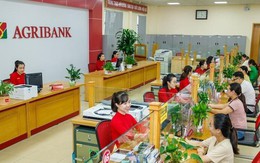 Agribank thông báo: Trường hợp khách hàng không thể cập nhật CCCD, sinh trắc học qua App hoặc VneID, bắt buộc phải tới ngân hàng Agribank thông báo: Trường hợp khách hàng không thể cập nhật CCCD, sinh trắc học qua App hoặc VneID, bắt buộc phải tới ngân hàng