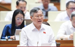 ĐBQH: Cần chế tài đủ mạnh để triệt hàng giả, hàng nhái