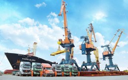 Chủ tịch và Tổng Giám đốc Viconship cùng ứng cử vào HĐQT Vận tải và xếp dỡ Hải An Chủ tịch và Tổng Giám đốc Viconship cùng ứng cử vào HĐQT Vận tải và xếp dỡ Hải An