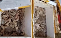 Phát hiện kho hàng tại Đà Nẵng chứa 3,5 tấn thịt, nội tạng bốc mùi đổi màu Phát hiện kho hàng tại Đà Nẵng chứa 3,5 tấn thịt, nội tạng bốc mùi đổi màu