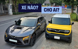 300 triệu, dưới 1 tỷ nên mua xe gì? Chuyên gia nhắc 2 mẫu VinFast này và nói: 'Không tin cứ tìm đến tôi'