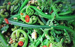 1 loại rau mọc dại ở Việt Nam được người Trung Quốc xem là “rau trường thọ”, sang tận nơi để thu mua: Giá ngang thịt bò, bổ tựa nhân sâm