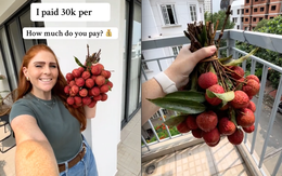 Bỏ 30.000 đồng/kg mua loại trái cây yêu thích ở Việt Nam, khách Tây khiến dân mạng bái phục vì "mát tay" chọn được giá hời Bỏ 30.000 đồng/kg mua loại trái cây yêu thích ở Việt Nam, khách Tây khiến dân mạng bái phục vì "mát tay" chọn được giá hời