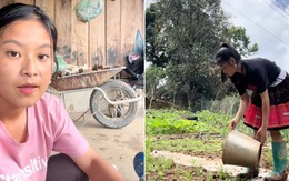 Sùng Bầu gặp vấn đề tâm lý, dừng kinh doanh Sùng Bầu gặp vấn đề tâm lý, dừng kinh doanh