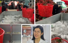 Vải thiều mới thu hoạch được ngâm nước đá, chuyên gia lý giải tác dụng