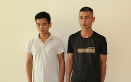 Bắt tạm giam Trần Đình Hào và Phạm Đình Thế