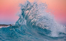 Doanh nghiệp cung cấp dịch vụ không thể thiếu chuẩn bị trả cổ tức tiền mặt 60%