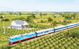 Cứ thuê bên ngoài sản xuất, rồi nhập về lắp ráp sẽ triệt tiêu ngành đường sắt