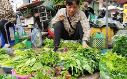 Bán mớ rau, con cá ngoài chợ có phải xuất hóa đơn và nộp thuế không? Phó Cục trưởng Cục Thuế lên tiếng