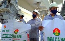 Đạm Cà Mau chốt ngày chi trả hơn 1.058 tỷ đồng cổ tức năm 2024