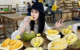 Rộ tour du lịch sầu riêng ở Đông Nam Á Rộ tour du lịch sầu riêng ở Đông Nam Á