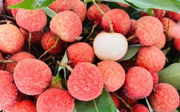 Vải thiều Việt Nam lên kệ siêu thị Đức Vải thiều Việt Nam lên kệ siêu thị Đức