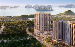 Sở hữu căn hộ giữa trung tâm Hạ Long chỉ từ 750 triệu