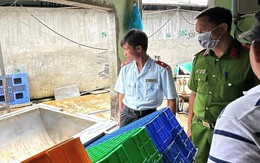 Đang kiểm tra lò mổ heo gia công cho Công ty C.P tại Hậu Giang