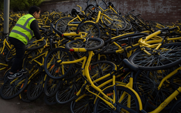 OfO - Câu chuyện đau đớn về vòng xoáy startup đốt tiền: Từng thuộc top 'kỳ lân' châu Á nhưng sụp đổ chỉ sau 2 năm, CEO vào danh sách đen vì nợ xấu