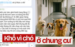 Khốn khổ vì hàng xóm yêu thú cưng "nửa mùa": Chất nặng mùi khiến cả 789bet tặng 100k khó thở nhưng tuyệt nhiên không ai nhận!