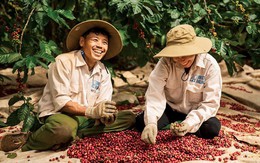 Một nông sản tỷ USD của Việt Nam được người dân nước láng giềng dùng hàng ngày, giá tăng vọt vẫn đặt mua hơn 8.000 tấn