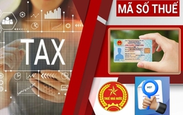 4 lợi ích khi dùng thay mã số thuế bằng số định danh cá nhân từ ngay 1/7 4 lợi ích khi dùng thay mã số thuế bằng số định danh cá nhân từ ngay 1/7