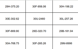 Các chủ xe Hà Nội có biển số sau đây nhanh chóng nộp phạt nguội theo Nghị định 168