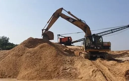 Đấu giá ba mỏ cát ở Quảng Nam: Khởi điểm vài tỷ đồng, chốt hàng trăm tỷ đồng
