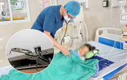 Vụ rắn cạp nia chui ra từ điều hòa cắn bé 7 tuổi lúc hơn 3h sáng: Người mẹ hoảng sợ kể lại toàn bộ sự việc