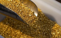 Hiệp hội kinh doanh Vàng: Cần khoảng 5 tỷ USD để nhập vàng nguyên liệu mỗi năm, dự trữ ngoại tệ sẽ không bị ảnh hưởng Hiệp hội kinh doanh Vàng: Cần khoảng 5 tỷ USD để nhập vàng nguyên liệu mỗi năm, dự trữ ngoại tệ sẽ không bị ảnh hưởng
