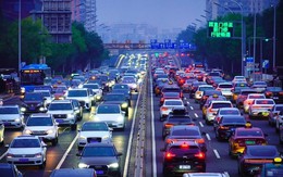 "Loài xâm lấn" từ Trung Quốc đang gây điên đảo toàn cầu: Nhưng dù sợ đến mấy, chẳng ai có thể ngăn chặn "Loài xâm lấn" từ Trung Quốc đang gây điên đảo toàn cầu: Nhưng dù sợ đến mấy, chẳng ai có thể ngăn chặn