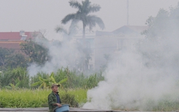 Dân đốt rơm, khói trắng trời Hà Nội, hun người đi đường
