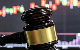 Vì sao 2 doanh nghiệp bị xử phạt hơn 600 triệu đồng?