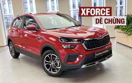 Ảnh thực tế 2 bản Skoda Kushaq tại Việt Nam: Giá dự kiến từ dưới 600 triệu đồng, ra mắt tháng này cạnh tranh Xforce, Creta