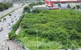 Dự án tháp tài chính gần 4.000 tỷ đồng ở Hà Nội 'hoá rừng' sau 20 năm ôm đất lãng phí Dự án tháp tài chính gần 4.000 tỷ đồng ở Hà Nội 'hoá rừng' sau 20 năm ôm đất lãng phí