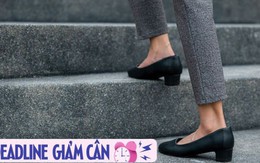 Không có thời gian tập thể dục thì làm việc này thay thế cũng giúp đốt cháy chất béo, giảm cân nhanh, bớt cả mối lo bệnh tim mạch Không có thời gian tập thể dục thì làm việc này thay thế cũng giúp đốt cháy chất béo, giảm cân nhanh, bớt cả mối lo bệnh tim mạch