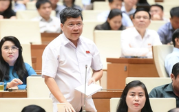 Đàm phán với Mỹ tích cực để mức thuế 46% không xảy ra