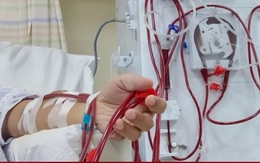 Cấp cứu sau nhiều ngày dùng nước tăng lực để ôn thi