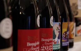 Đồ uống trong chai thủy tinh chứa nhiều vi nhựa hơn chai nhựa