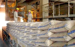 Vì sao tiêu thụ xi măng giảm mạnh?