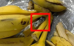 Đi chợ mua chuối, thấy 4 loại này thì quay xe bỏ đi ngay không cần do dự!