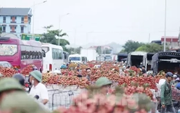 Đi chợ vải thiều Bắc Giang Đi chợ vải thiều Bắc Giang