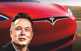 Cựu nhân viên trung thành cảnh báo: Elon Musk phải rút lui, bán hết cổ phần may ra mới cứu nổi Tesla!