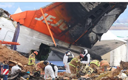 Vụ tai nạn máy bay Jeju Air: Hàn Quốc điều tra 24 trường hợp 'sơ suất nghề nghiệp'
