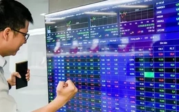 Chứng  khoán lập đỉnh mới