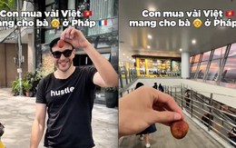 Khách Tây mang quả vải "to nhất Việt Nam" sang Pháp và cái kết rớt nước mắt Khách Tây mang quả vải "to nhất Việt Nam" sang Pháp và cái kết rớt nước mắt
