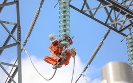 Chuyện hy hữu: Cổ phiếu 259.000 đồng chào bán giá 10.000 đồng vẫn 'ế', nhà đầu tư duy nhất 'quay xe' phút chót