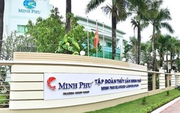 Vua tôm Minh Phú "hì hục" bán lỗ để giải quyết 20.000 tấn hàng tồn kho từ Covid Vua tôm Minh Phú "hì hục" bán lỗ để giải quyết 20.000 tấn hàng tồn kho từ Covid