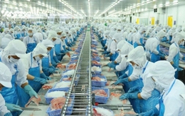 Xuất khẩu thủy sản tăng mạnh, VASEP vẫn lo thuế đối ứng