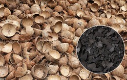 Thứ bỏ đi từ trái dừa thành "mỏ vàng", Việt Nam kiếm hàng chục triệu đô: Thế giới đổ xô đặt hàng Thứ bỏ đi từ trái dừa thành "mỏ vàng", Việt Nam kiếm hàng chục triệu đô: Thế giới đổ xô đặt hàng