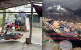 Món đồ mà nhà nào ở miền Tây cũng phải có: "Ăn cơm xong nằm đu đưa là hết sảy"! Món đồ mà nhà nào ở miền Tây cũng phải có: "Ăn cơm xong nằm đu đưa là hết sảy"!