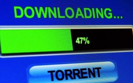 Quản trị viên trang torrent đã “gác kiếm” 10 năm vẫn bị truy tố, phạt 5 năm tù